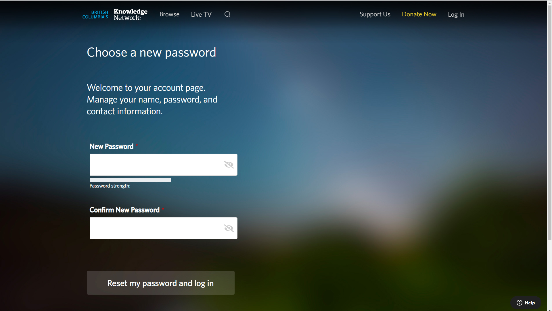 password4.jpg